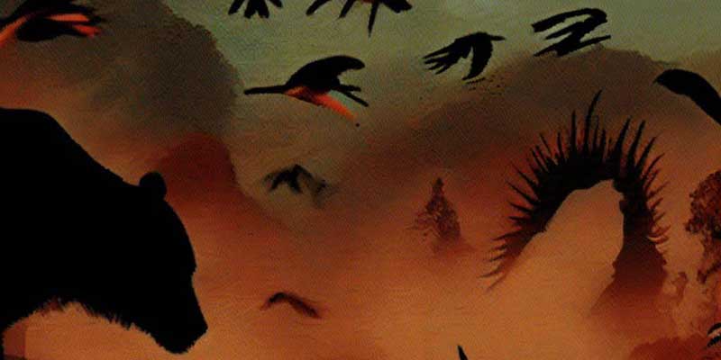 The impact of climate change on wildlife and biodiversity and what you can do to help